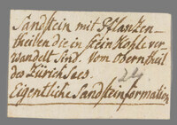 L 02263
<br/>
Label met opschrift
<br/>
<em>Escher von der Linth, Johannes Conrad (1767-1823)</em>
